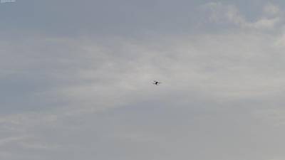 Sample image from Accurate Drone Shapes