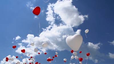 Sample image from GMOT-40