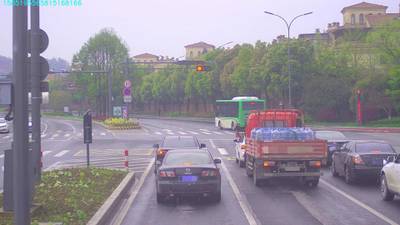 Sample image from S2TLD
