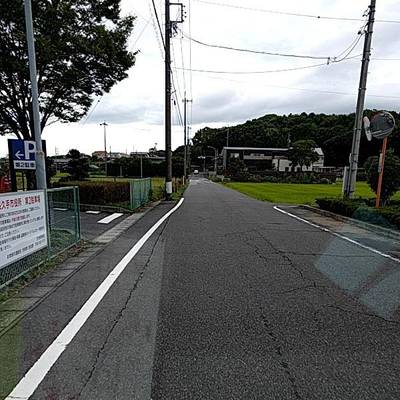 Sample image from RDD2022