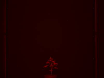 Sample image from CosegPP