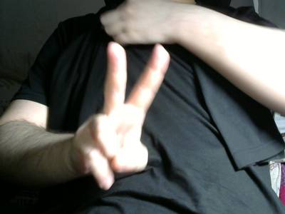 Sample image from Gesture v1.0