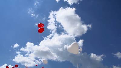 Sample image from GMOT-40