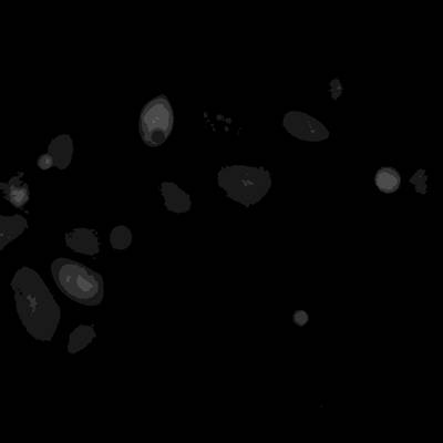 Sample image from Annotated Quantitative Phase Microscopy Cell