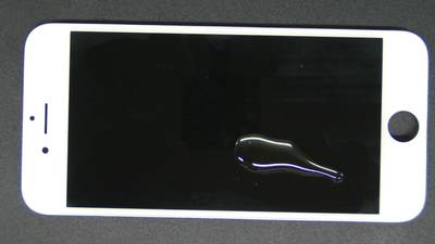 Sample image from MSD