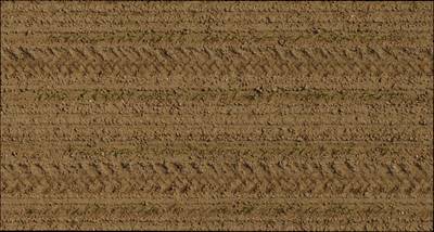 Sample image from Plant Detection and Counting