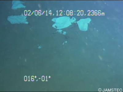 Sample image from Trash-ICRA19
