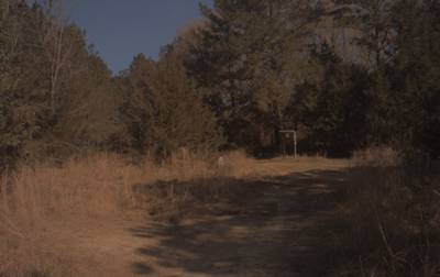 Sample image from CaSSeD: Real World Data
