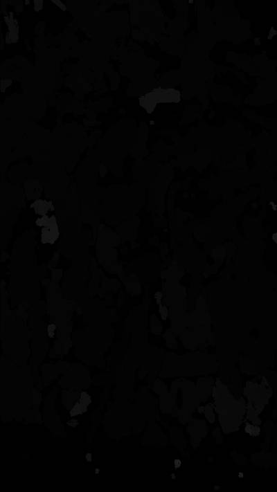 Sample image from BUP19