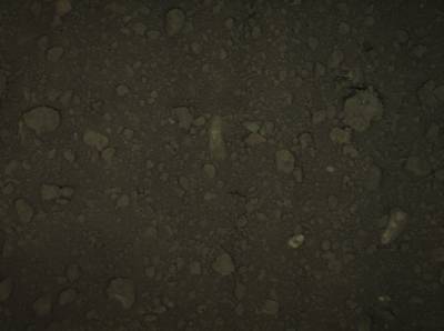 Sample image from Supervisely HRDA Plants Demo