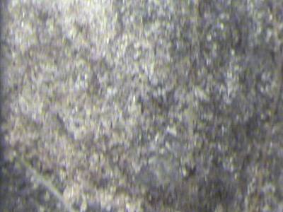 Sample image from PRMI
