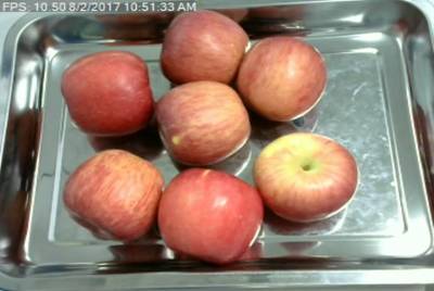 Sample image from Fruit Recognition