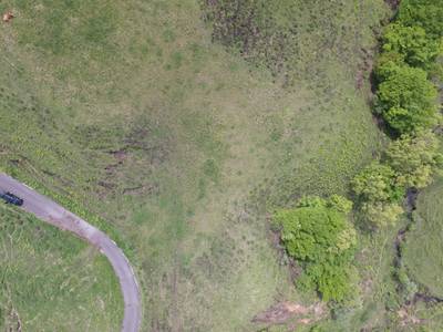 Sample image from Cattle Detection and Counting in UAV Images
