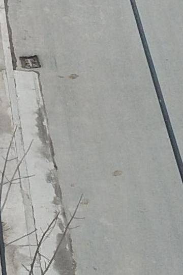 Sample image from PLD-UAV