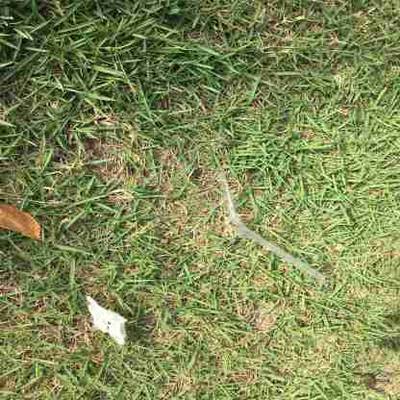 Sample image from AquaTrash