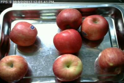 Sample image from Fruit Recognition