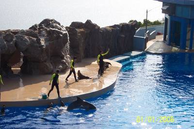 Sample image from WaterDataset