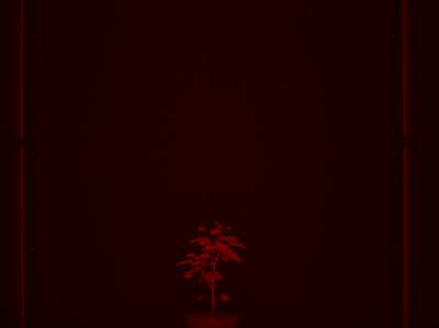 Sample image from CosegPP