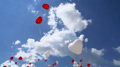 Sample image from GMOT-40