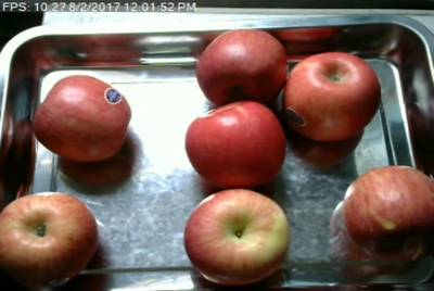 Sample image from Fruit Recognition