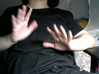 Sample image from Gesture v1.0