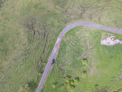 Sample image from Cattle Detection and Counting in UAV Images