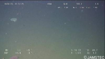 Sample image from TrashCan 1.0