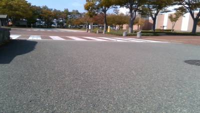 Sample image from Outdoor Hazard Detection