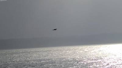 Sample image from Accurate Drone Shapes