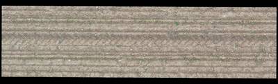 Sample image from Plant Detection and Counting