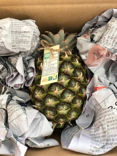 Sample image from Fruit Object Detection