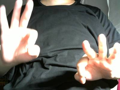 Sample image from Gesture v1.0