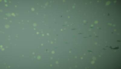 Sample image from BrackishMOT