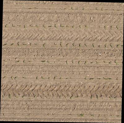 Sample image from Plant Detection and Counting