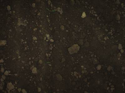 Sample image from Supervisely HRDA Plants Demo