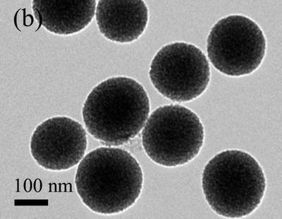Sample image from EMPS
