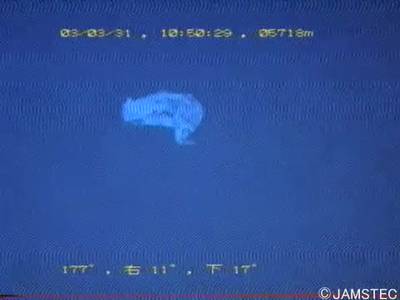 Sample image from Trash-ICRA19