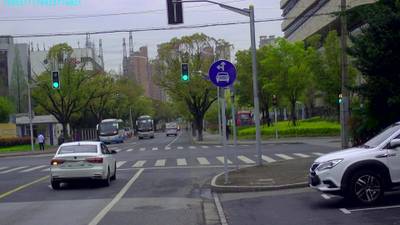 Sample image from S2TLD