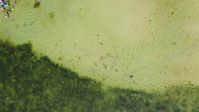 Sample image from AFO