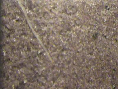 Sample image from PRMI