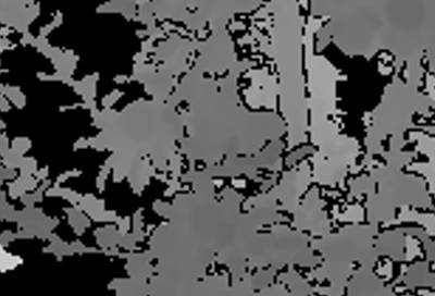 Sample image from KFuji RGB-DS