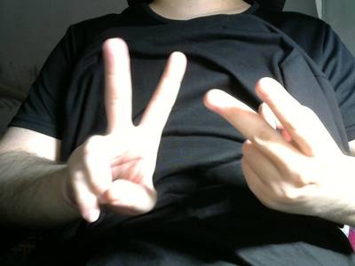 Sample image from Gesture v1.0