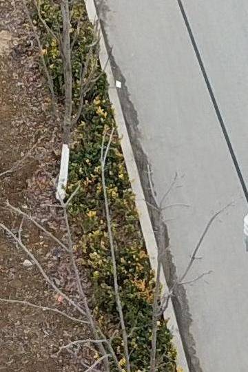 Sample image from PLD-UAV