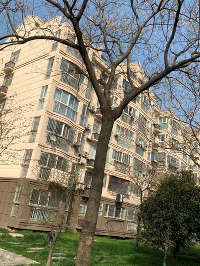 Sample image from Urban Street: Branch