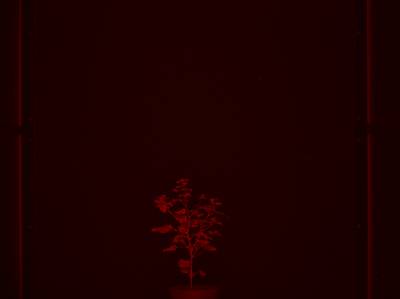 Sample image from CosegPP