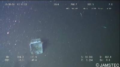 Sample image from Trash-ICRA19