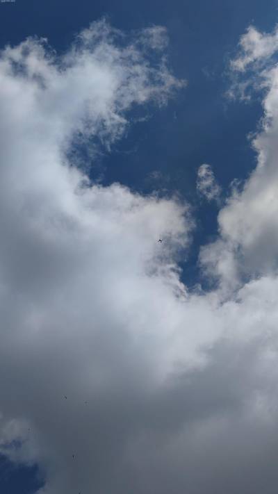 Sample image from Accurate Drone Shapes