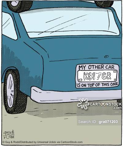 Sample image from Car License Plate