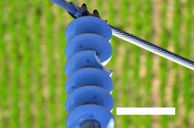 Sample image from Insulator-Defect Detection
