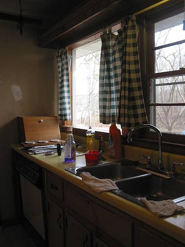 Sample image from LVIS